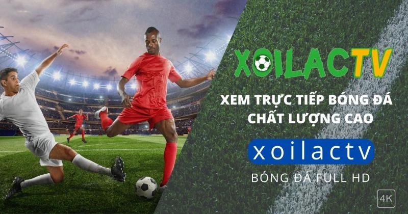 Xoilac TV cung cấp các giải đấu bóng đá nào?